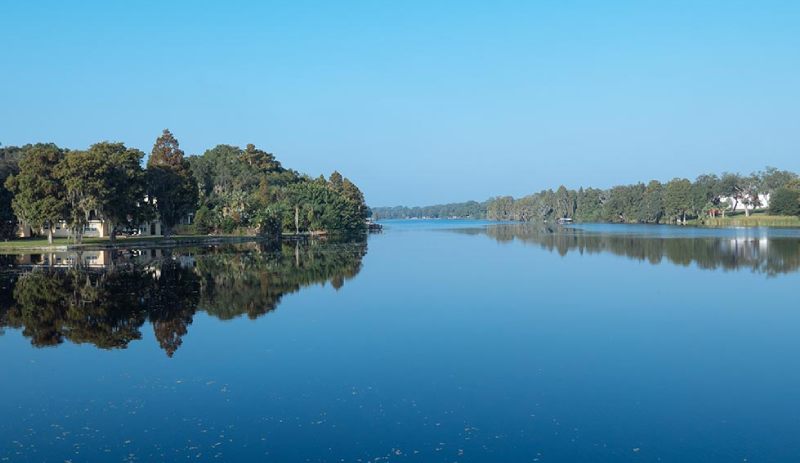 Get Directions to Windsor Medical Clinic in Temple Terrace, FL