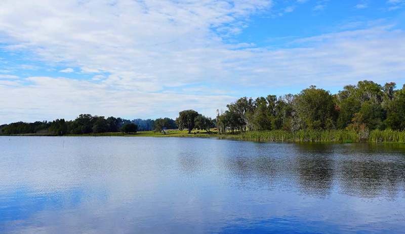 Get Directions to Neuvo Medical Spa in Wesley Chapel, FL